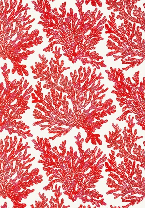 MARINE CORAL T10120